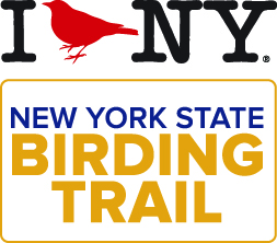 Birding Trail NY Logo