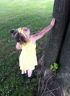 Child Touching a tree