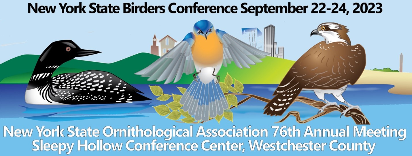 Banner with the Title, showing vector images of birds.