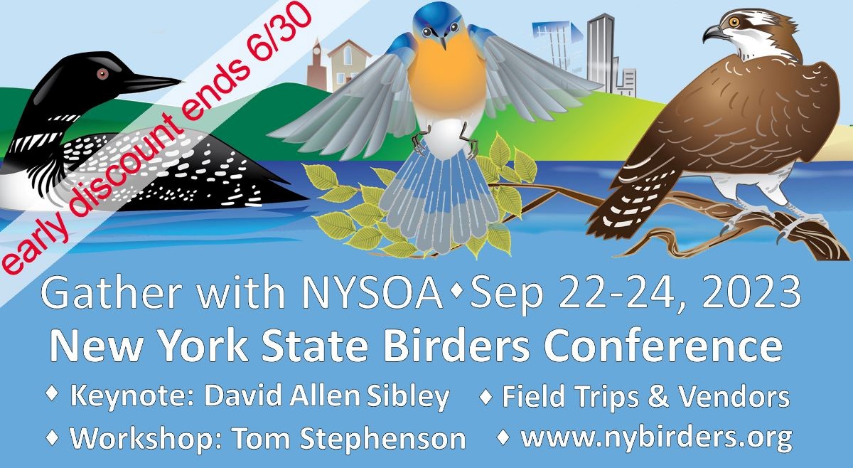 NYSOA Conference 2023 Ad