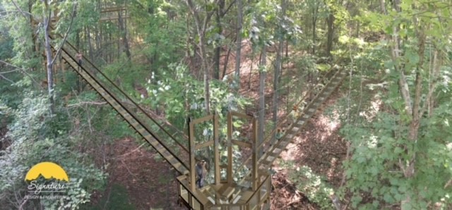 Bridges between the trees, a treetop canopy.